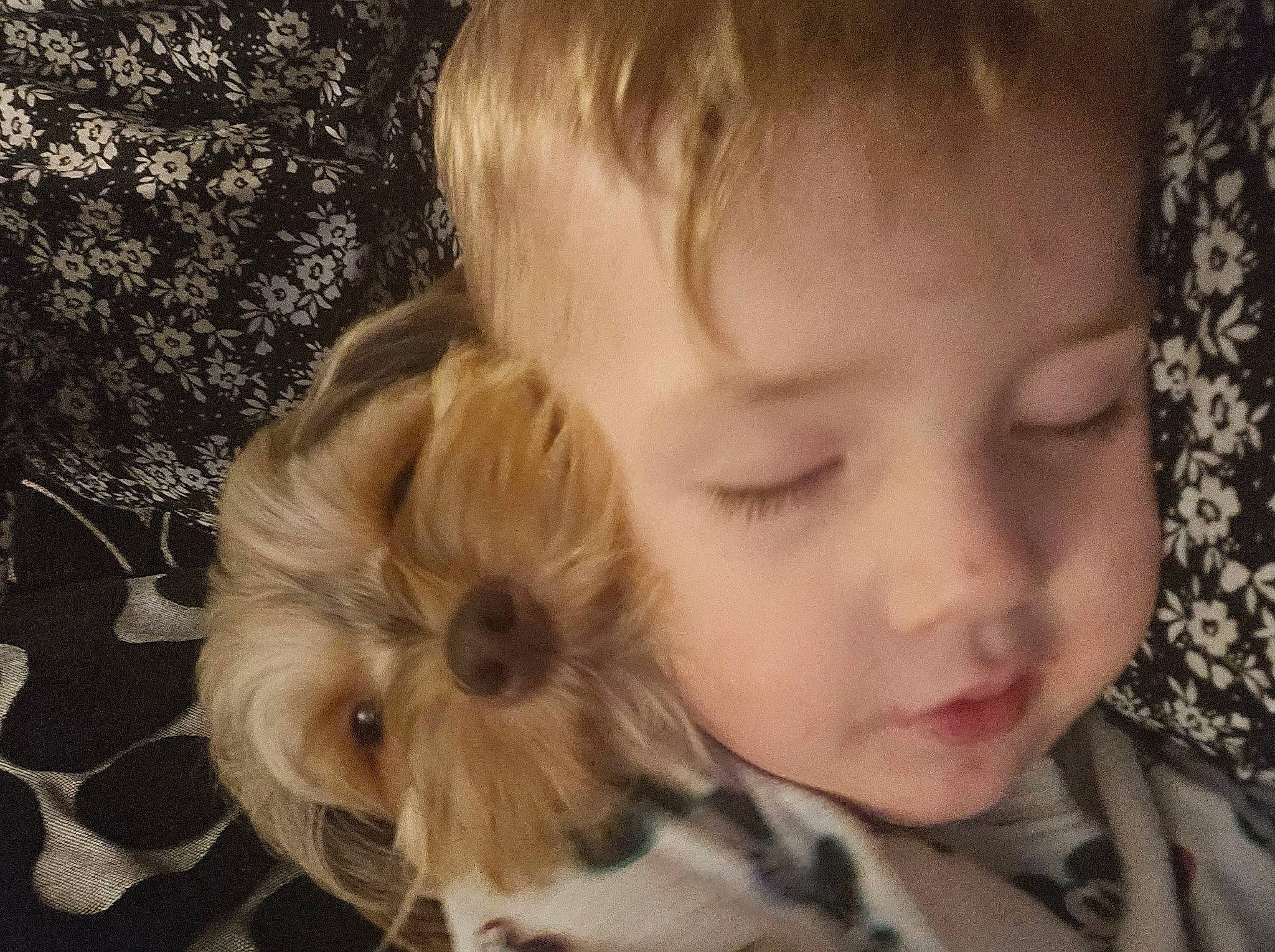 Leo is registered to the contest to win money with this photo: baby, cheek, child, ear, eye, eyebrow, eyelash, face, grass, hair, happy, head, human_body, iris, nose, organ, person, plant, skin, toddler