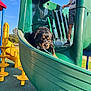 Max joined the competition — help win amazing prizes! dog, rottweiler, playground, slide, child, outdoor, rope, green_slide, yellow_playground_equipment, blue_sky, sunny, park, toy, plastic, leisure, play, pet, animal, summer, daytime