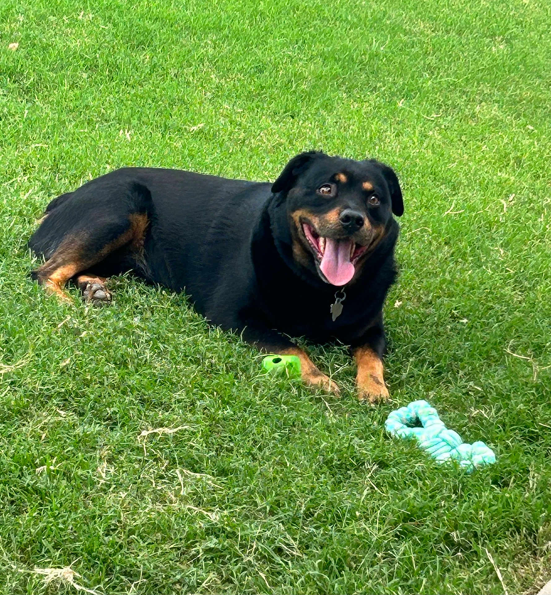 Max