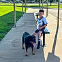 Max is registered to the contest to win money with this photo: boy, dog, rottweiler, bench, sidewalk, grass, tree, leash, sunlight, shadow, glasses, smile, outdoor, park, concrete, pole, shorts, tshirt, happy, summer