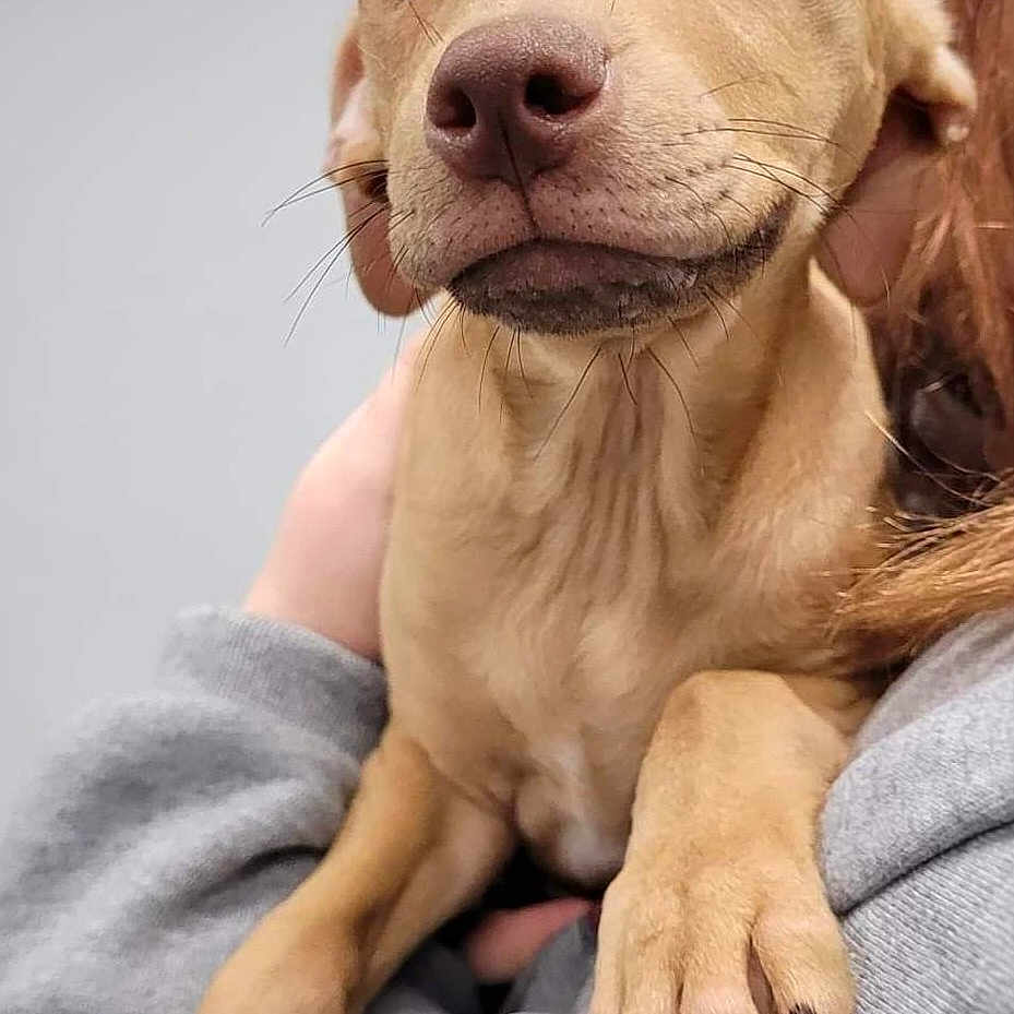 Penny