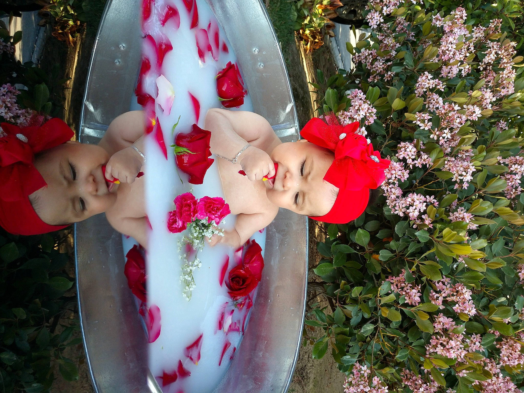 Kassandra is registered to the contest to win money with this photo: art, botany, christmas_decoration, christmas_ornament, flower, grass, hand, happy, headwear, lawn_ornament, leaf, lip, ornament, people_in_nature, person, petal, pink, plant, rose, toy