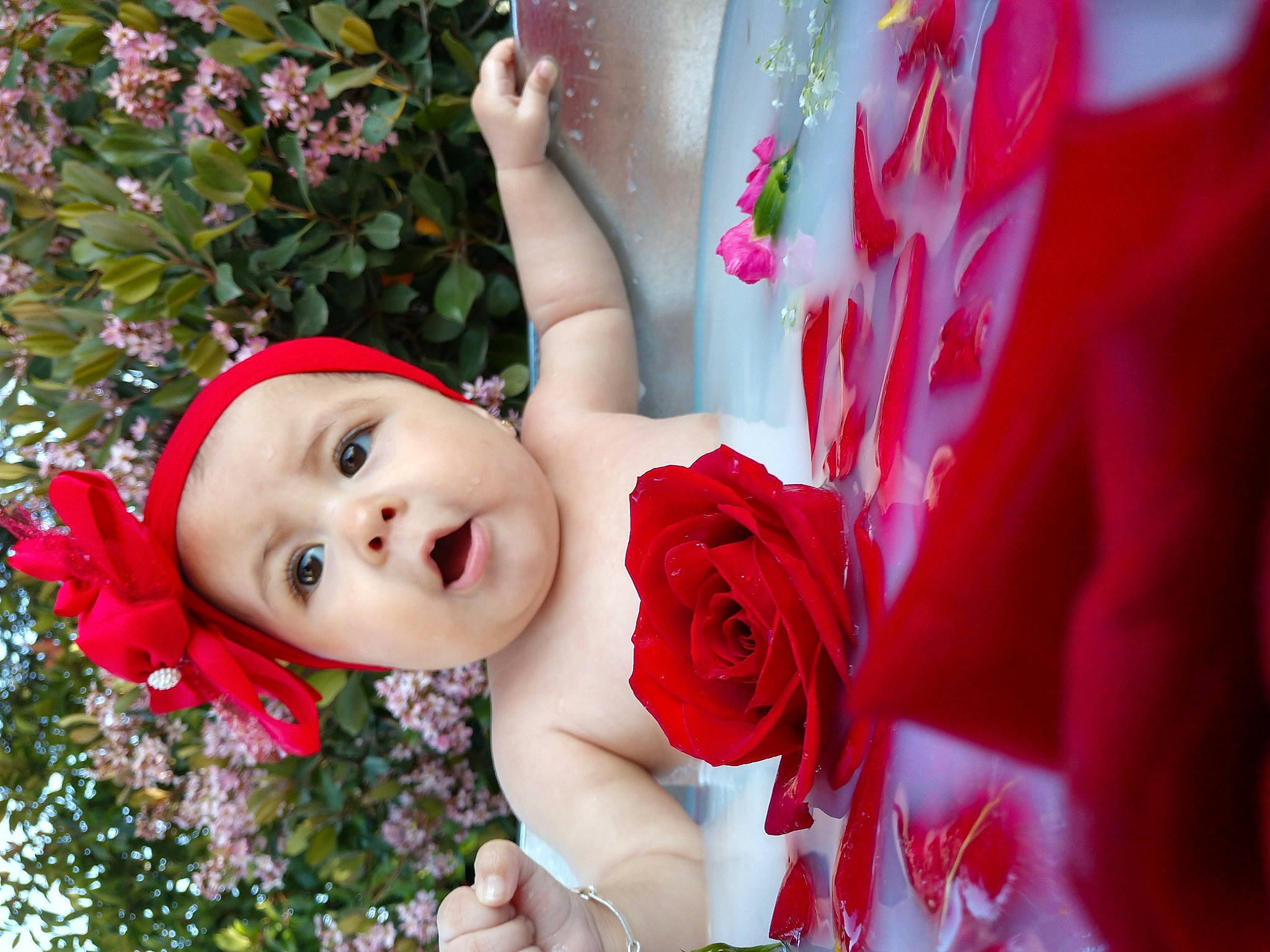 Kassandra joined the competition — help win amazing prizes! baby, beauty, eye, face, flower, grass, hand, happy, head, headwear, human_body, hybrid_tea_rose, lip, person, petal, photograph, pink, plant, red, rose