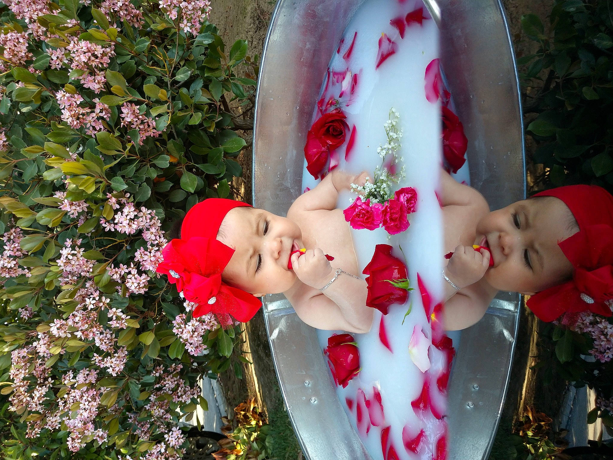 Kassandra is registered to the contest to win money with this photo: art, botany, christmas_decoration, christmas_ornament, doll, fawn, flower, grass, happy, headwear, lawn_ornament, ornament, person, petal, pink, plant, red, rose, textile, toy