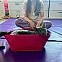 cat, gray_cat, basket, purple_mat, person, sitting, indoor, dresser, toy, carpet, cross_legged, white_tshirt, striped_pants, furniture, pet, animal, relaxed, home, floor, curly_hair