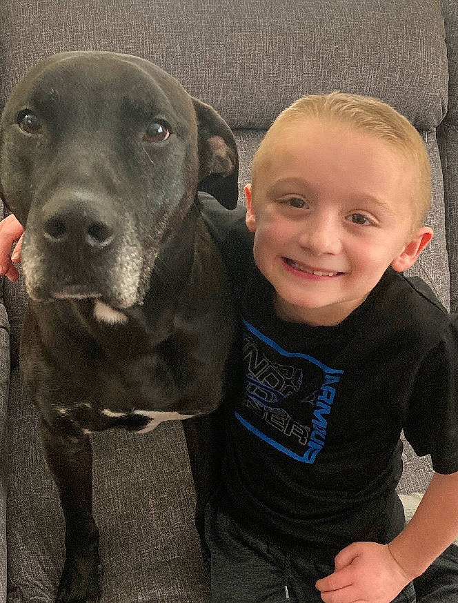 Buddy is registered to the contest to win money with this photo: canidae, carnivore, companion_dog, dog, dog_breed, eye, fawn, fur, guard_dog, happy, head, non_sporting_group, selfie, smile, snout, sporting_group, t_shirt, toddler, whiskers, working_animal