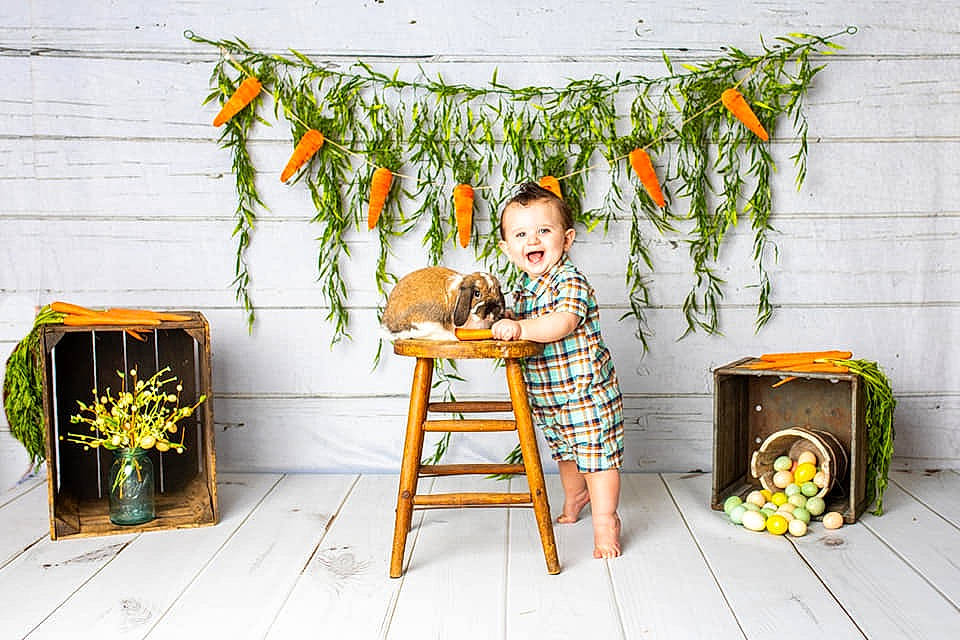 Gunner is registered to the contest to win money with this photo: chair, drum, event, floral_design, flower, flower_arranging, flowerpot, green, happy, houseplant, leisure, musical_instrument, natural_foods, orange, outdoor_furniture, person, plant, smile, toddler, wood