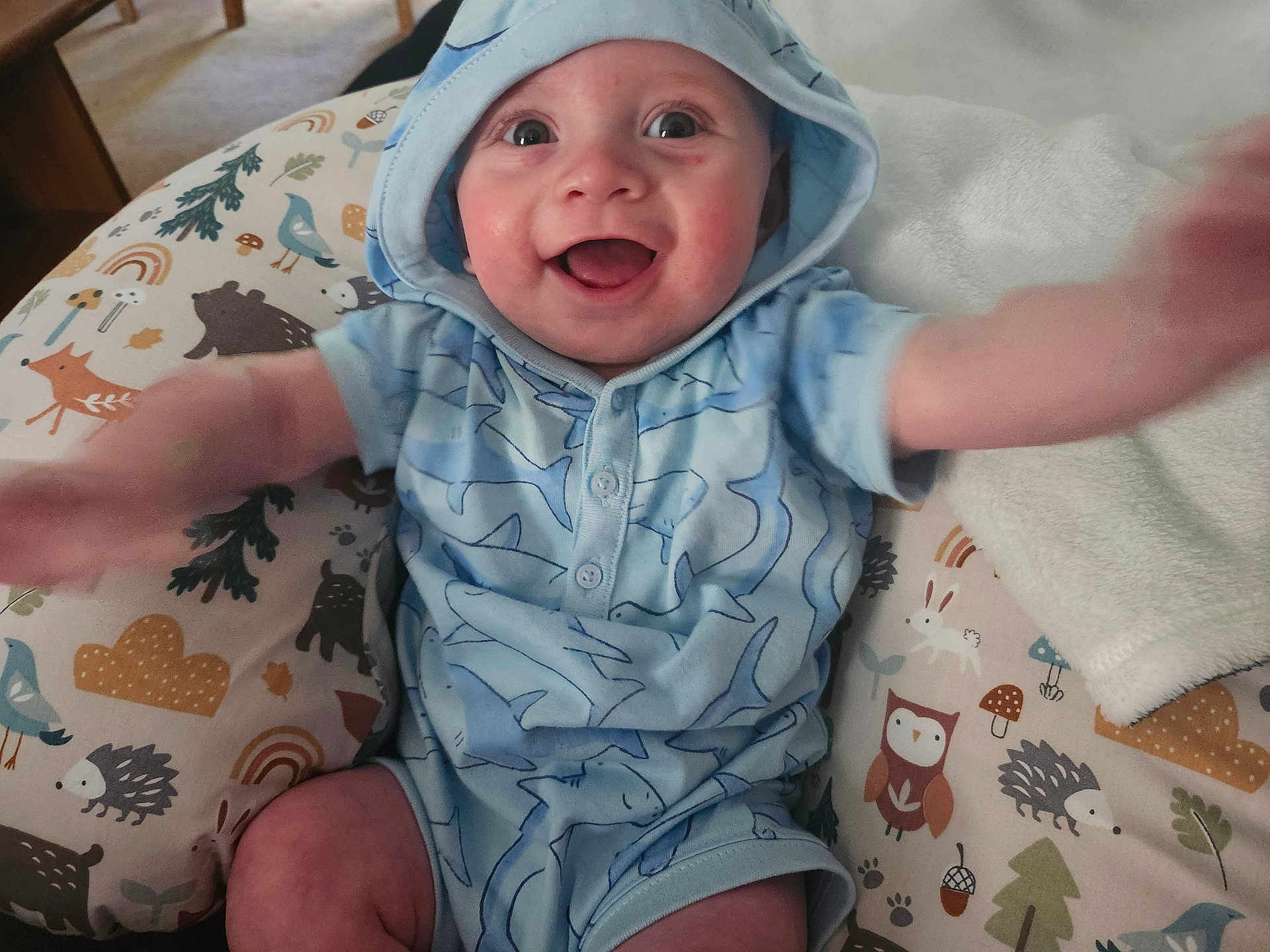 Otto joined the competition — help win amazing prizes! baby, child, blue_clothing, hoodie, smiling, happy, indoor, cushion, animal_print, pattern, cute, infant, person, sitting, reaching, playful, face, eyes, mouth_open, joyful