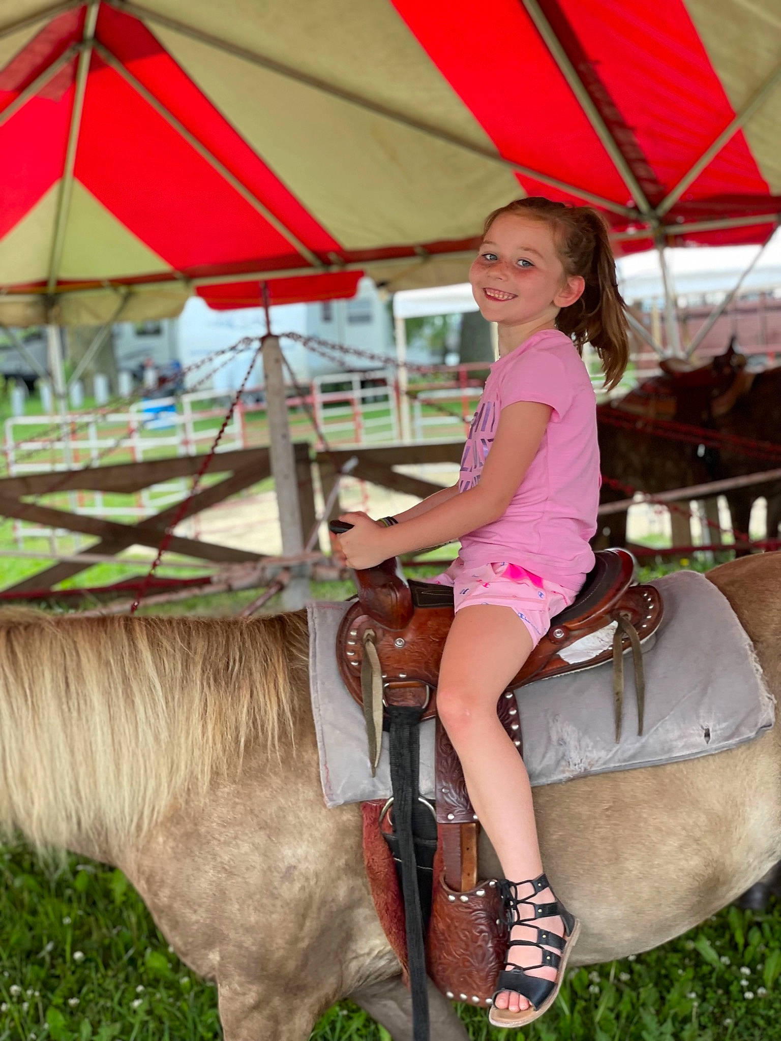 Tenley is registered to the contest to win money with this photo: bridle, event, fun, grass, happy, horse, horse_supplies, horse_tack, joy, landscape, leg, leisure, livestock, pack_animal, person, recreation, rein, saddle, smile, toddler