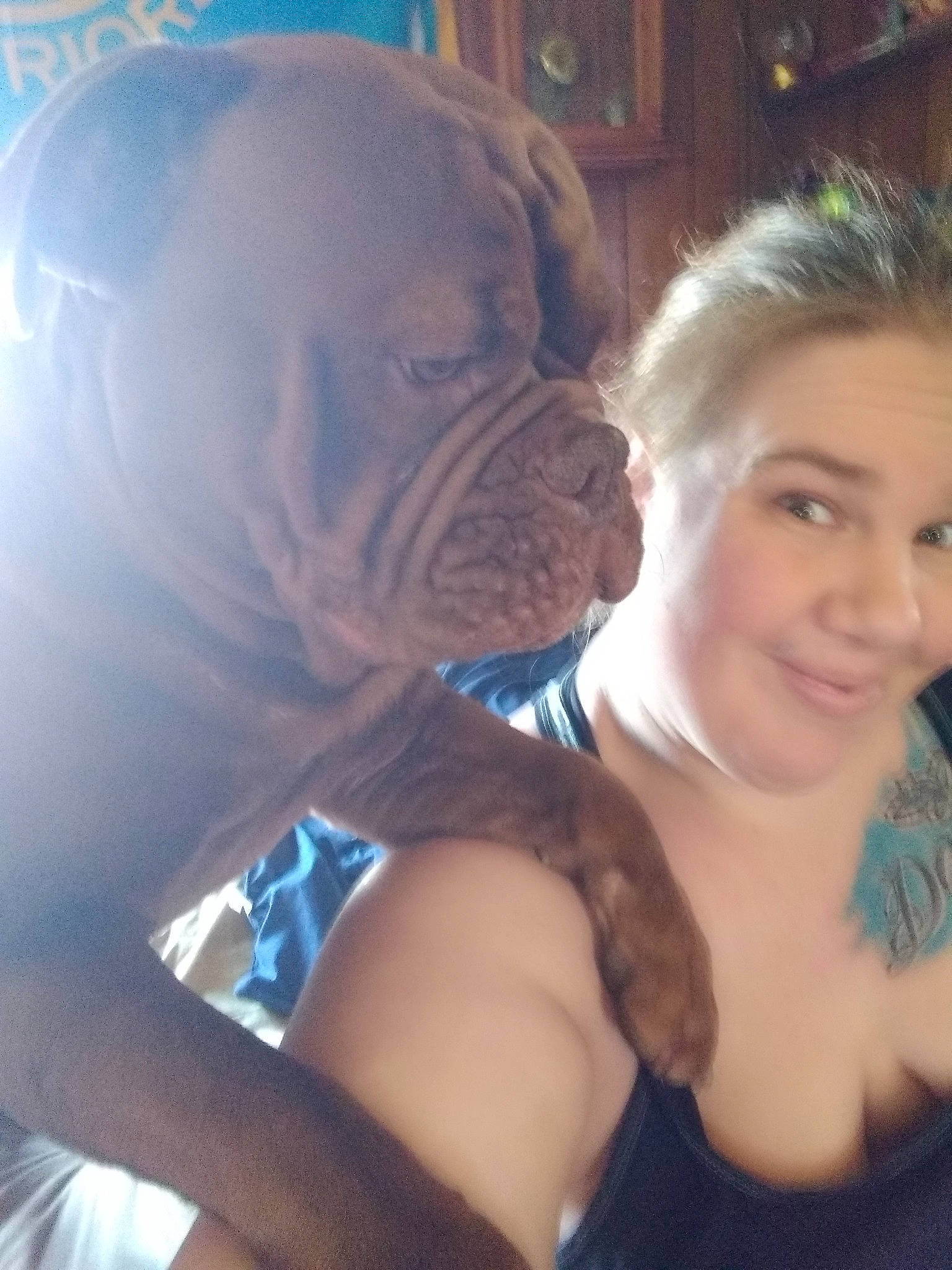 Dozzer joined the competition — help win amazing prizes! bulldog, bullmastiff, canidae, carnivore, cheek, companion_dog, dog, dog_breed, ear, eye, fawn, head, mouth, muscle, non_sporting_group, nose, puppy_love, selfie, skin, wrinkle