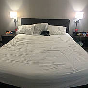 Squish is registered to the contest to win money with this photo: bedroom, bed, cat, white_sheets, pillows, lamp, nightstand, black_cat, indoor, wall, lighting, cup, plastic_bag, snacks, drink, headboard, wrinkled_sheets, cozy, resting_cat, furniture