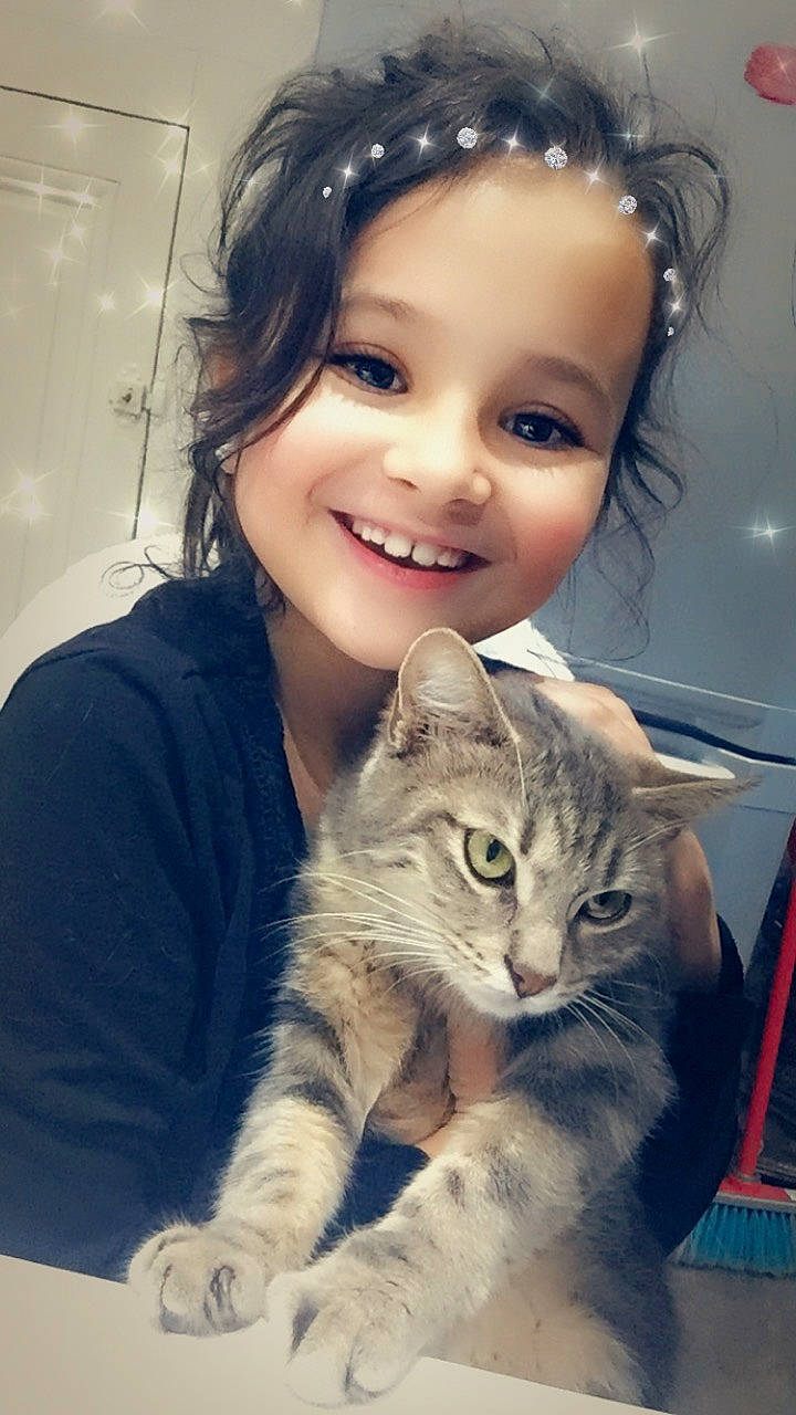 Lola participe au concours pour gagner de l'argent avec cette photo : american_curl, asian, carnivore, cat, cheek, child, domestic_short_haired_cat, ear, eye, felidae, forehead, hair, iris, joy, kitten, nose, person, skin, small_to_medium_sized_cats, smile