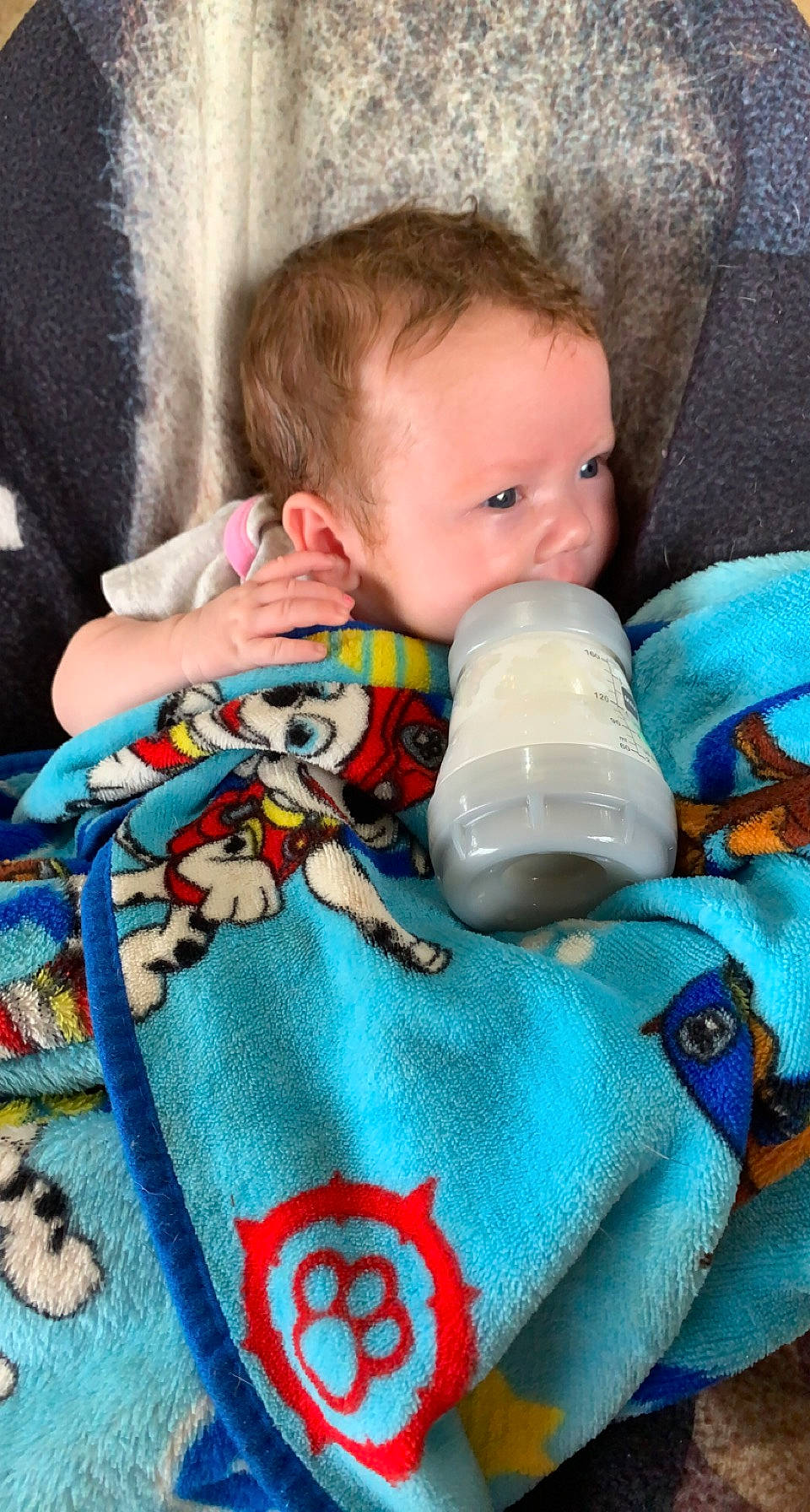 Naomi-lee joined the competition — help win amazing prizes! baby, baby_in_car_seat, baby_products, baby_sleeping, baby_toddler_clothing, bedtime, blue, cheek, child, comfort, face, finger, green, hand, linens, mouth, person, skin, stuffed_toy, textile