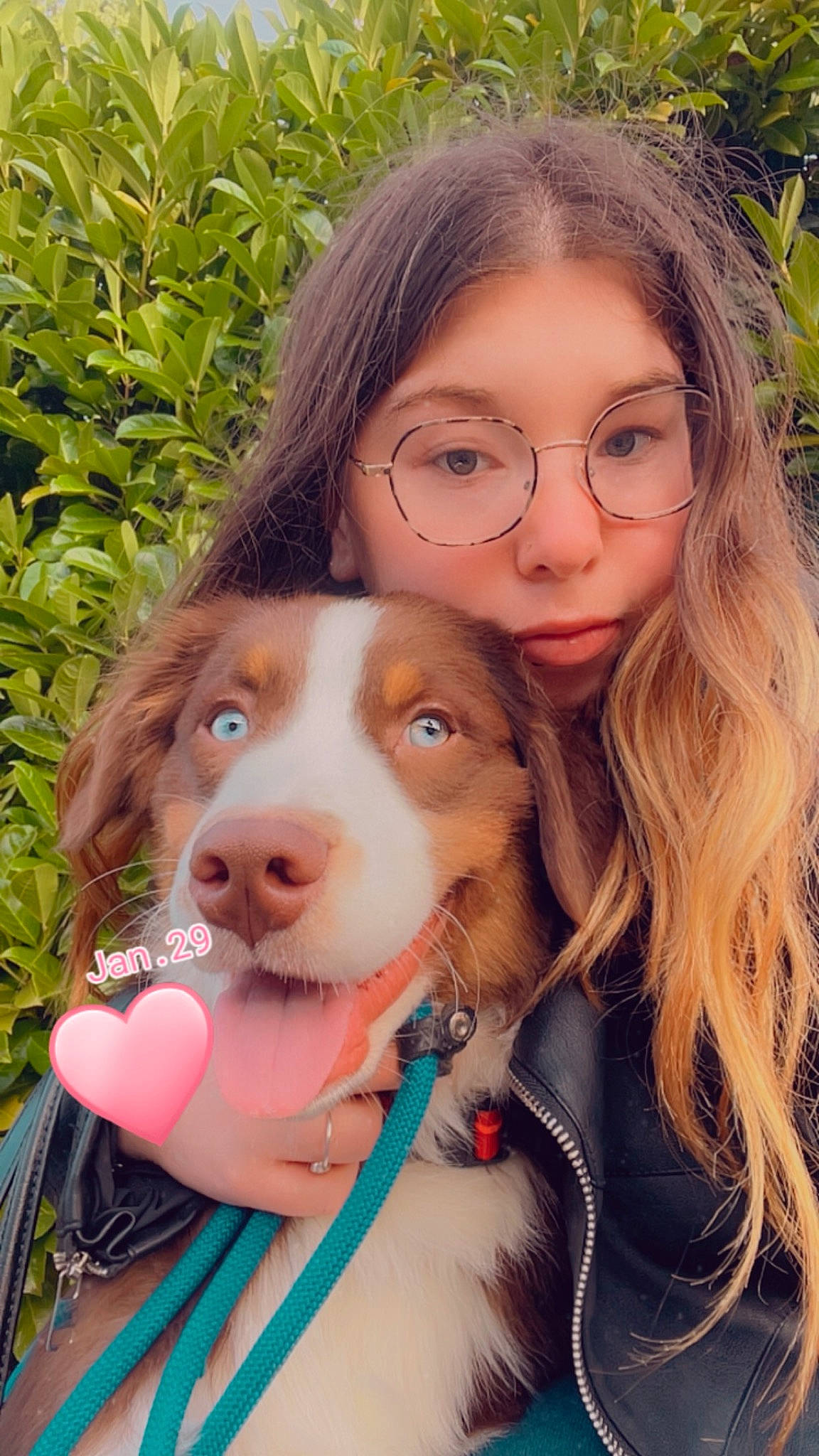 Paco a rejoint le concours — aidez-le/la à gagner de superbes lots ! carnivore, companion_dog, dog, dog_breed, ear, eyewear, fawn, glasses, grass, happy, iris, liver, long_hair, nose, plant, skin, smile, sunglasses, vision_care, working_animal