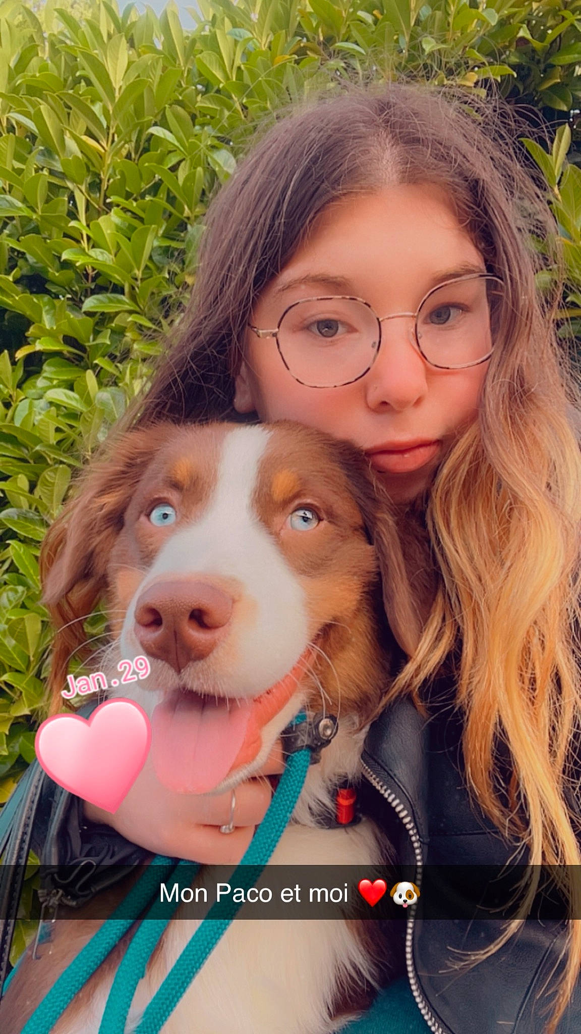 Paco a rejoint le concours — aidez-le/la à gagner de superbes lots ! carnivore, child, companion_dog, dog, dog_breed, ear, eyewear, fawn, fun, glasses, grass, happy, liver, long_hair, nose, plant, skin, snout, sporting_group, vision_care