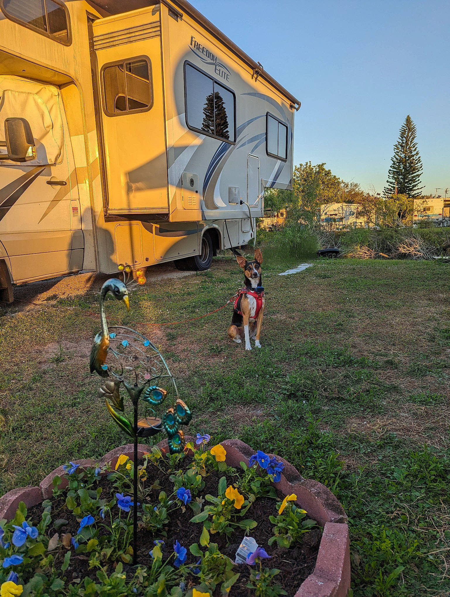 Jj is registered to the contest to win money with this photo: automotive_exterior, biome, flower, grass, grassland, house, landscape, lawn, leisure, motor_vehicle, plant, rural_area, sky, summer, tire, travel_trailer, tree, vehicle, wheel, window