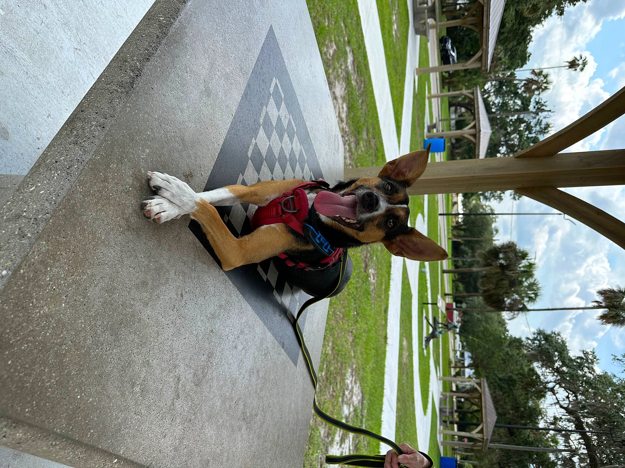 Jj joined the competition — help win amazing prizes! adventure, building, climbing, climbing_harness, climbing_shoe, concrete, elbow, fun, leisure, outdoor_shoe, plant, pole, recreation, rock_climbing_equipment, rope, shorts, sky, sport_climbing, tree, walking_shoe