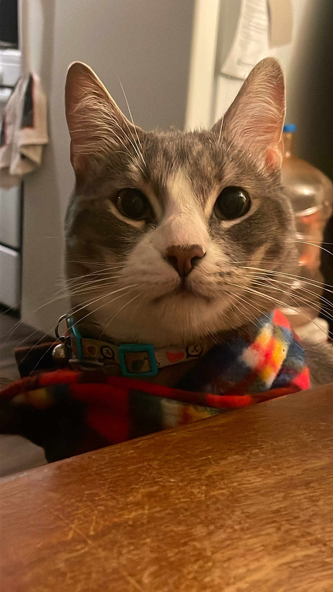 Coco