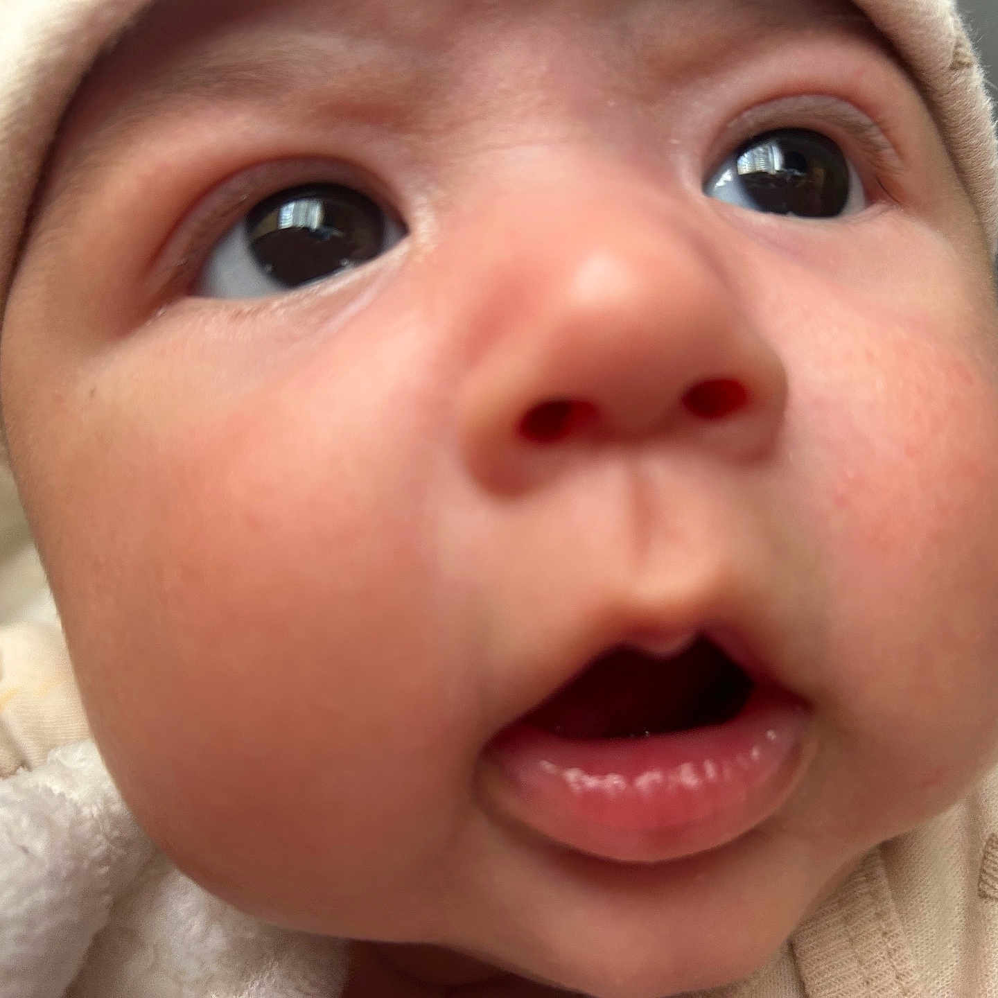 Maximiliano