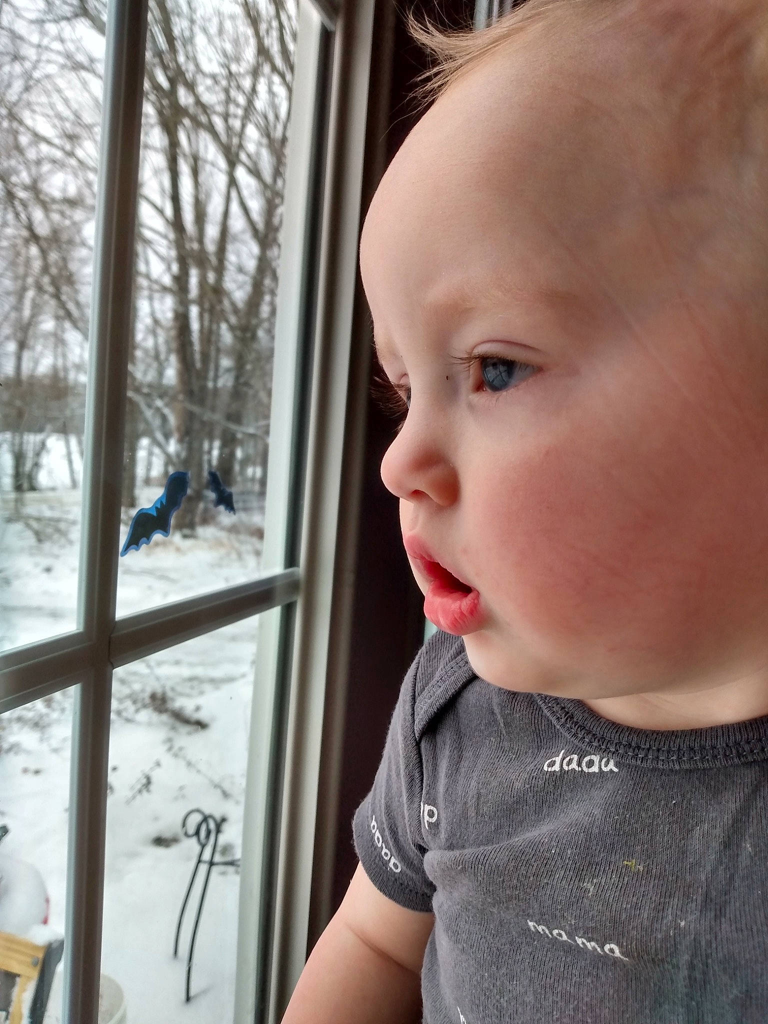 Kyle joined the competition — help win amazing prizes! baby, baby_toddler_clothing, cheek, child, chin, ear, eyebrow, eyelash, grass, happy, iris, lip, nose, person, skin, sleeve, t_shirt, toddler, tree, window