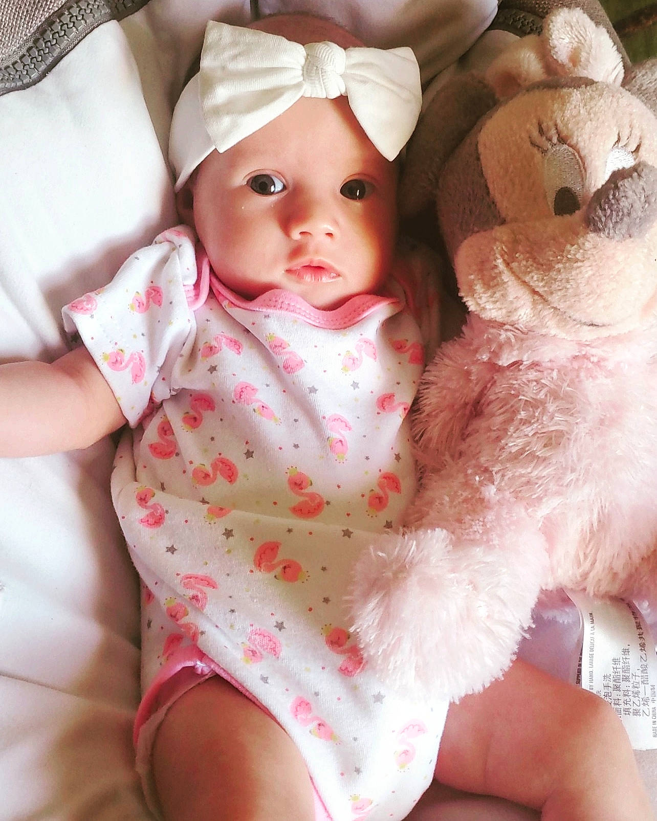 Ashley participe au concours pour gagner de l'argent avec cette photo : baby, baby_toddler_clothing, cheek, child, doll, dress, face, fawn, finger, gesture, hand, head, headwear, pattern, person, pink, skin, sleeve, stuffed_toy, toy