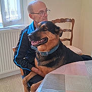 Sany a rejoint le concours — aidez-le/la à gagner de superbes lots ! man, dog, german_shepherd, chair, table, window, curtain, indoor, glasses, wooden_chair, collar, happy, pet, floor, jacket, seated, tablecloth, human, smiling_dog, home