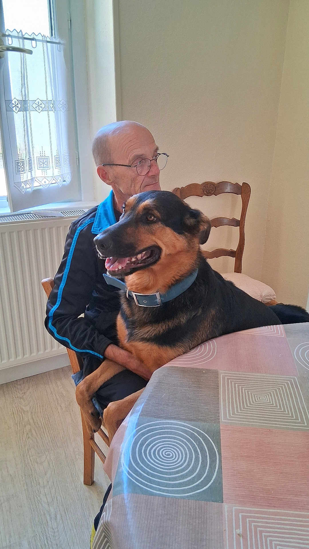 Sany a rejoint le concours — aidez-le/la à gagner de superbes lots ! man, dog, german_shepherd, chair, table, window, curtain, indoor, glasses, wooden_chair, collar, happy, pet, floor, jacket, seated, tablecloth, human, smiling_dog, home