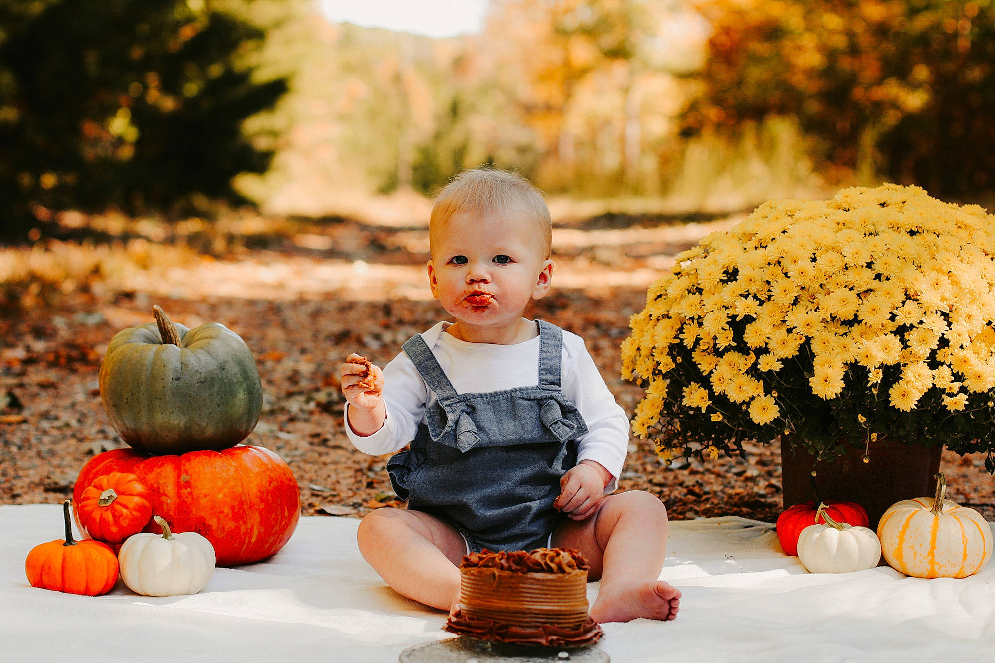 Luella joined the competition — help win amazing prizes! calabaza, child, cucurbita, dress, flower, flower_arranging, gourd, grass, happy, morning, natural_foods, orange, people_in_nature, person, photograph, plant, pumpkin, toddler, tree, vegetable