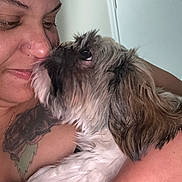 Shalia Rose is registered to the contest to win money with this photo: person, dog, close_up, indoor, affection, love, pet, face, fur, tattoo, skin, nose_ring, white_fur, brown_fur, holding, looking_up, companion, cute, portrait, human_animal_bond