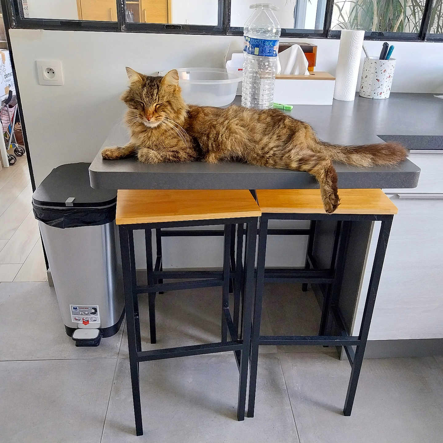 Tigrou