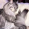 Zeus a rejoint le concours — aidez-le/la à gagner de superbes lots ! cat, sleeping, long_hair, gray, fluffy, tail, pet, cozy, blanket, indoor, cute, relaxed, fur, whiskers, animal, domestic, resting, soft, peaceful, close_up