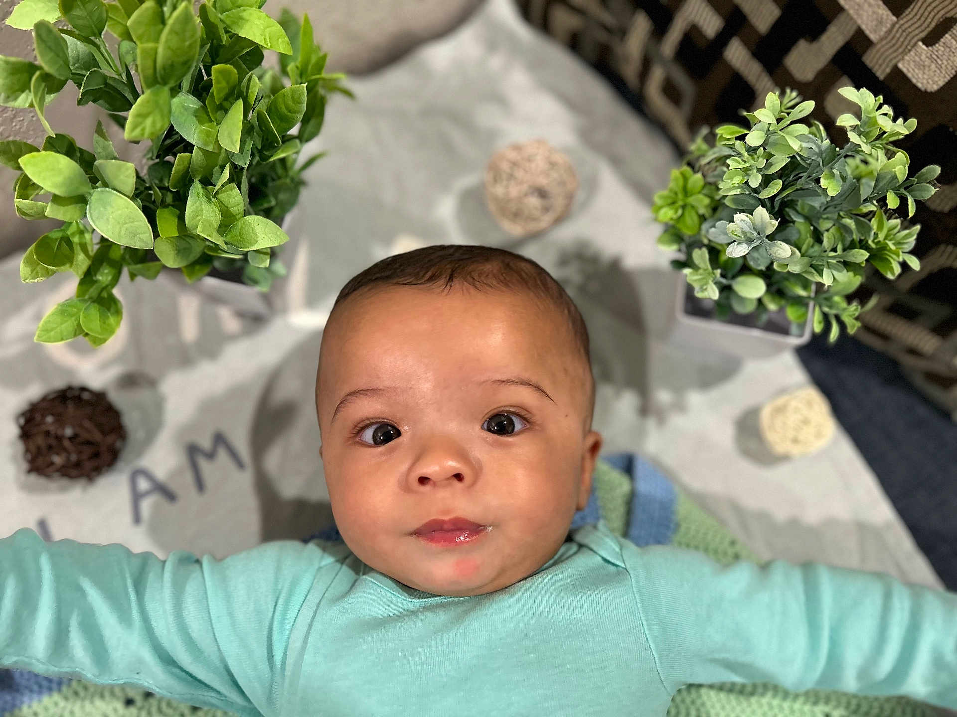 Kyael is registered to the contest to win money with this photo: baby, child, face, person, plant, greenery, blanket, decor, indoor, cute, infant, portrait, expression, laying_down, clothing, soft, young, closeup, adorable, home