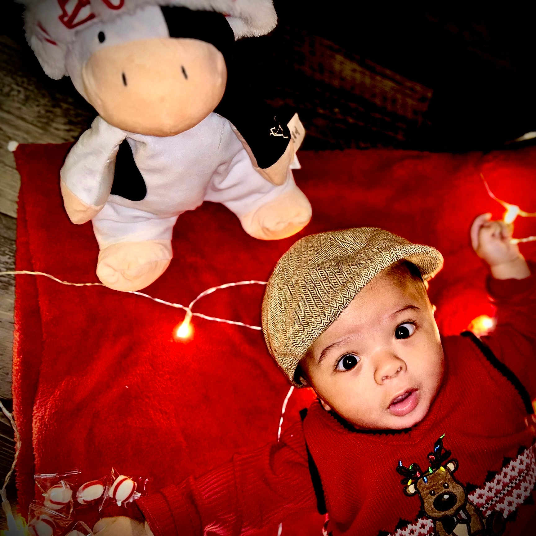 Kyael is registered to the contest to win money with this photo: baby, child, christmas, cow, cozy, cute, decorative_lights, festive, floor, hat, holiday_lights, indoors, plush_toy, portrait, red_blanket, red_sweater, reindeer, soft_toy, surprised_expression, winter_clothing