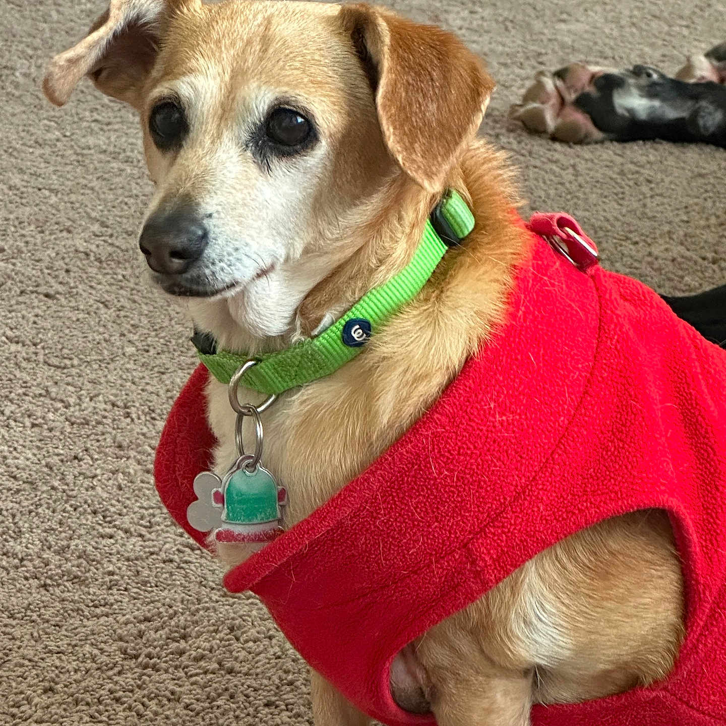 Penny