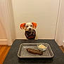 dog, orange_ears, bandana, table, tray, steak, rice, indoor, wood_floor, waiting, pet, animal, food, plate, cute, small_dog, white_dog, curious, sitting, kitchen