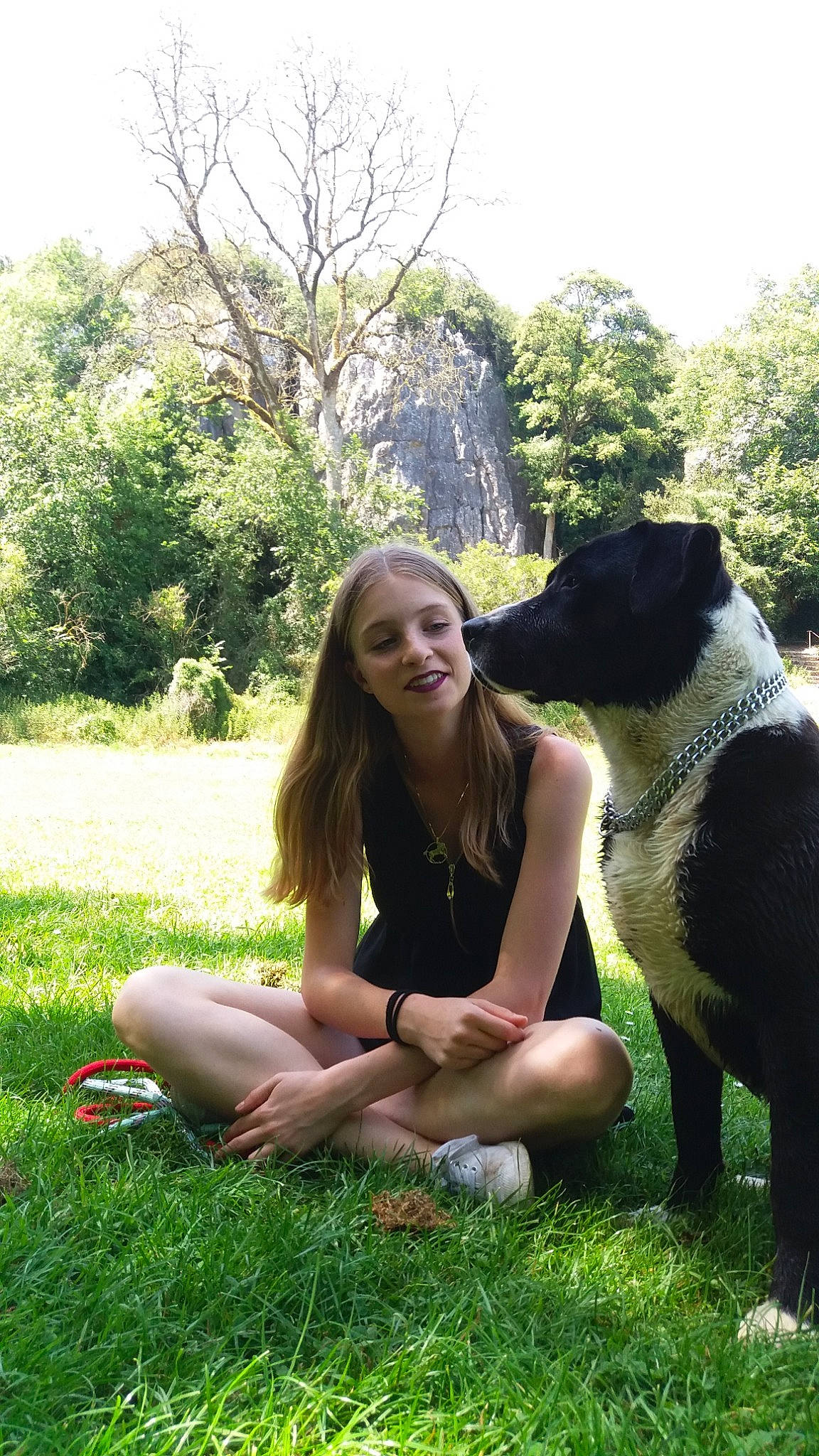 Malabar a rejoint le concours — aidez-le/la à gagner de superbes lots ! botany, canidae, carnivore, dog, dog_breed, fawn, grass, grass_family, green, joy, lawn, leisure, meadow, non_sporting_group, person, photography, sitting, sporting_group
