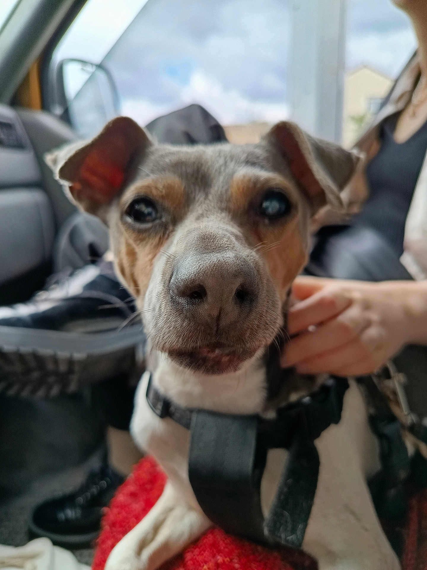 Marley