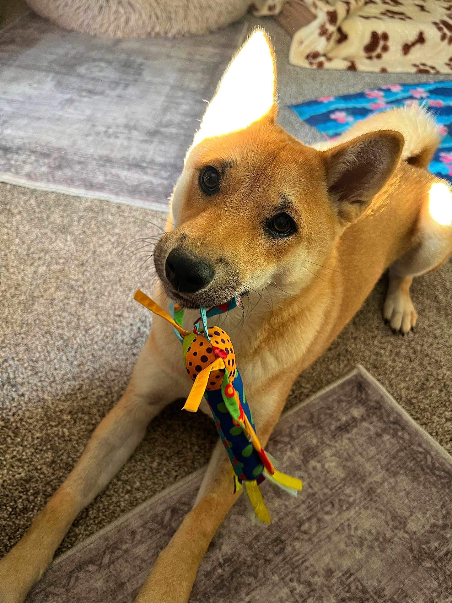 Meisha