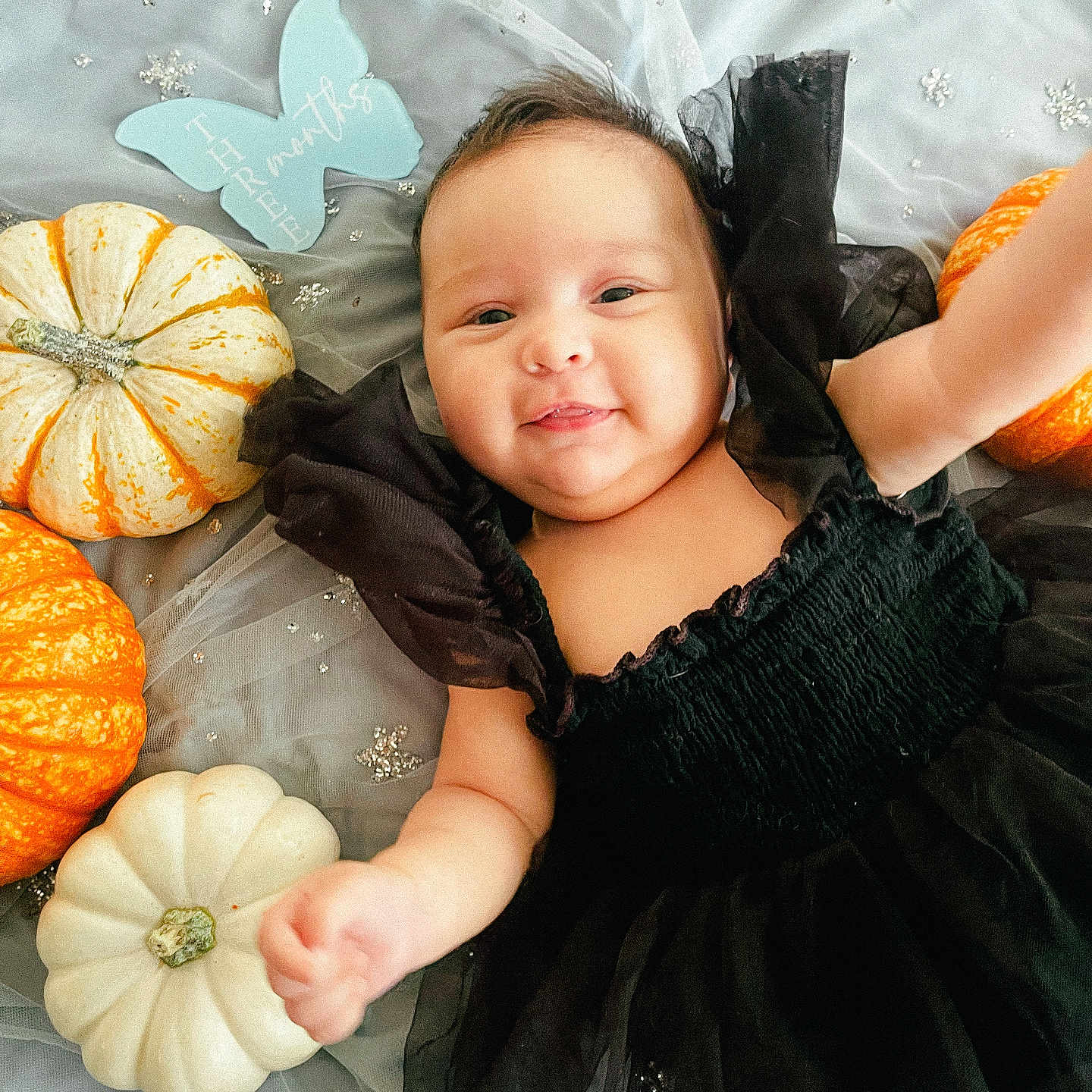 Audrey joined the competition — help win amazing prizes! baby, black_dress, blue_butterfly_sign, celebration, child, cute, festive, hands_up, happy, holiday, infant, lying_down, milestone, orange_pumpkin, portrait, pumpkins, smiling, sparkly_fabric, three_months, white_pumpkin