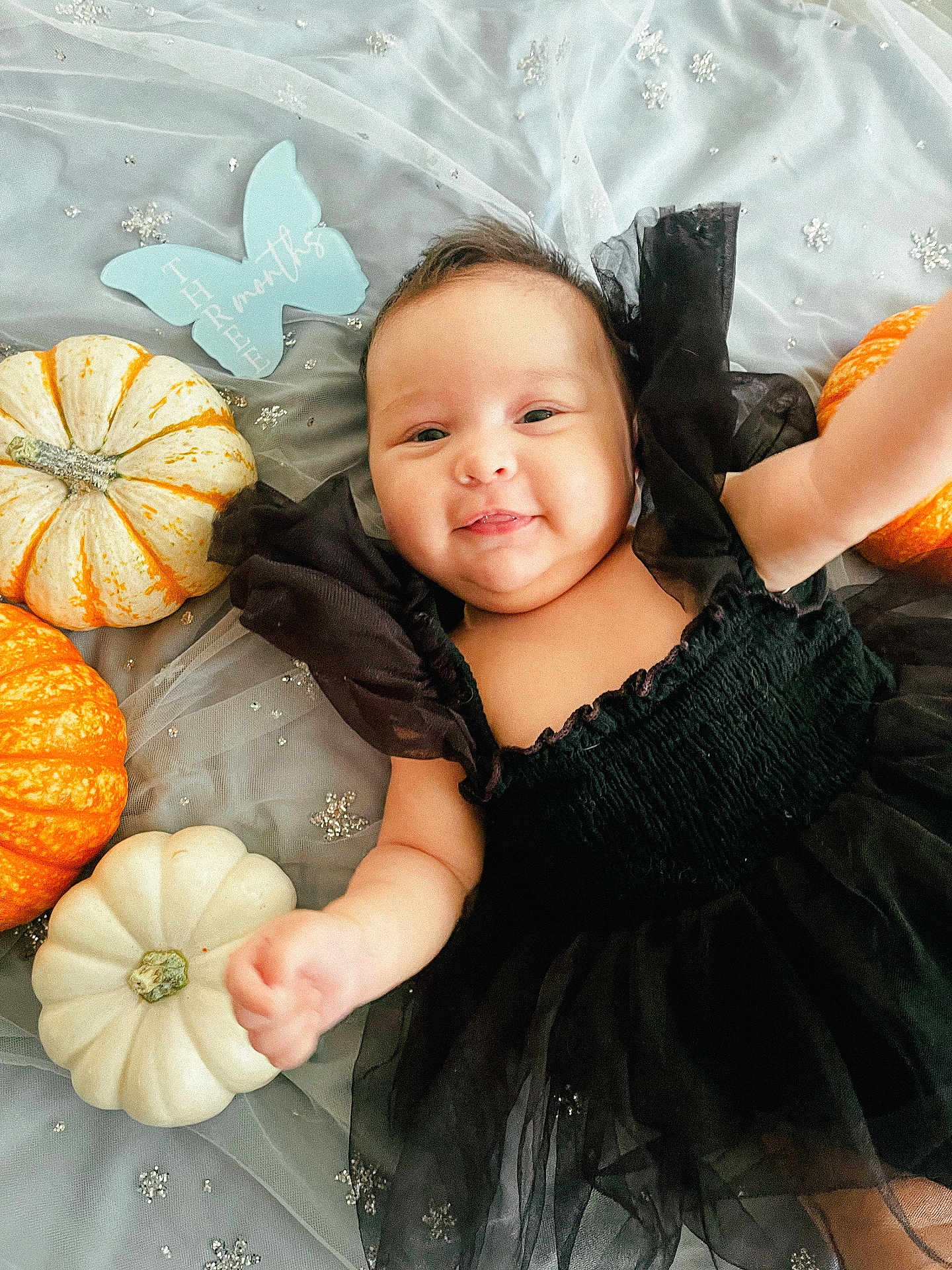 Audrey joined the competition — help win amazing prizes! baby, infant, black_dress, pumpkins, orange_pumpkin, white_pumpkin, blue_butterfly_sign, three_months, smiling, happy, lying_down, celebration, milestone, sparkly_fabric, cute, child, portrait, holiday, festive, hands_up