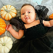 Audrey is registered to the contest to win money with this photo: baby, infant, pumpkins, black_dress, laying_down, curious_expression, orange_pumpkin, white_pumpkin, decorative_fabric, sparkles, cute, face, child, holiday_theme, autumn, portrait, soft_lighting, indoors, small_hands, young_child