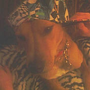 Manny joined the competition — help win amazing prizes! animal, blanket, brown, calm, canine, cap, chain_collar, closeup, cozy, dog, domestic_animal, fabric, furniture, headwear, indoor, pet, portrait, relaxed, resting, zebra_stripe