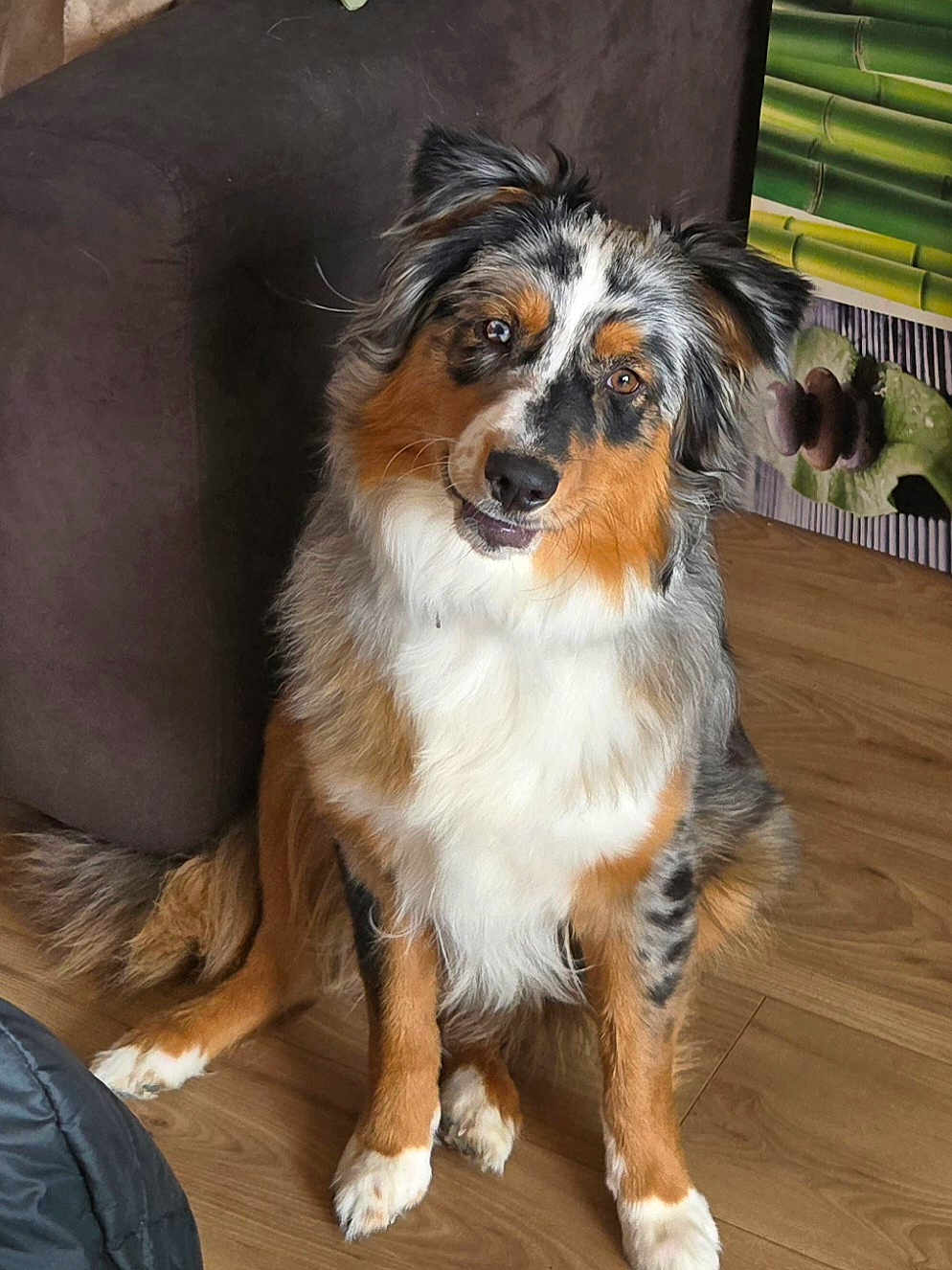 Marley
