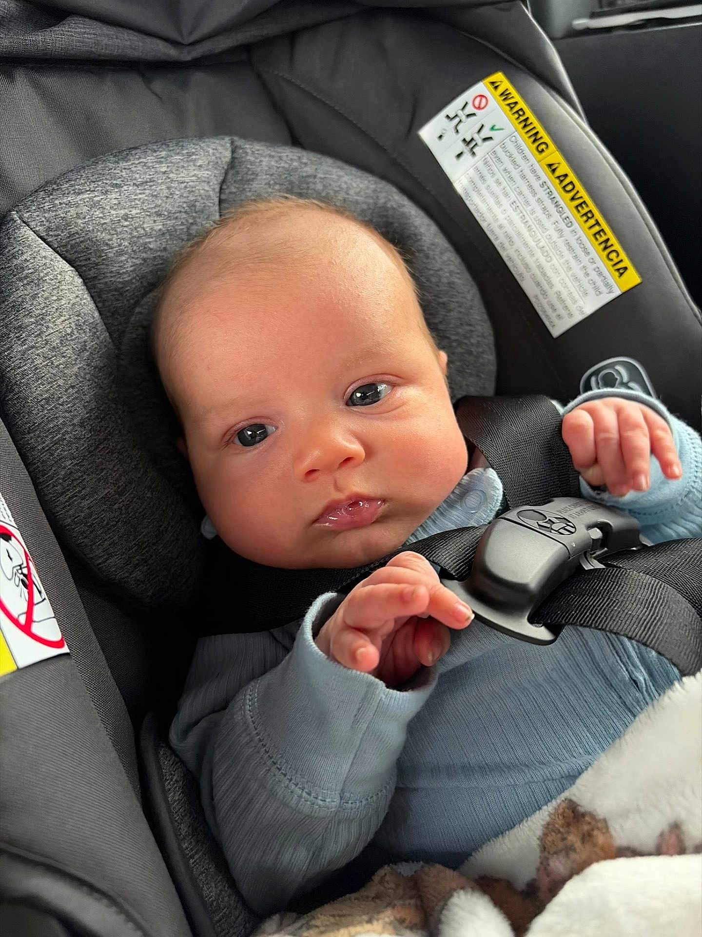 Zayden is registered to the contest to win money with this photo: baby, infant, car_seat, child, seatbelt, blanket, blue_clothing, hand, face, head, eyes, skin, indoor, car_interior, safety, cute, newborn, portrait, young_child, comfort