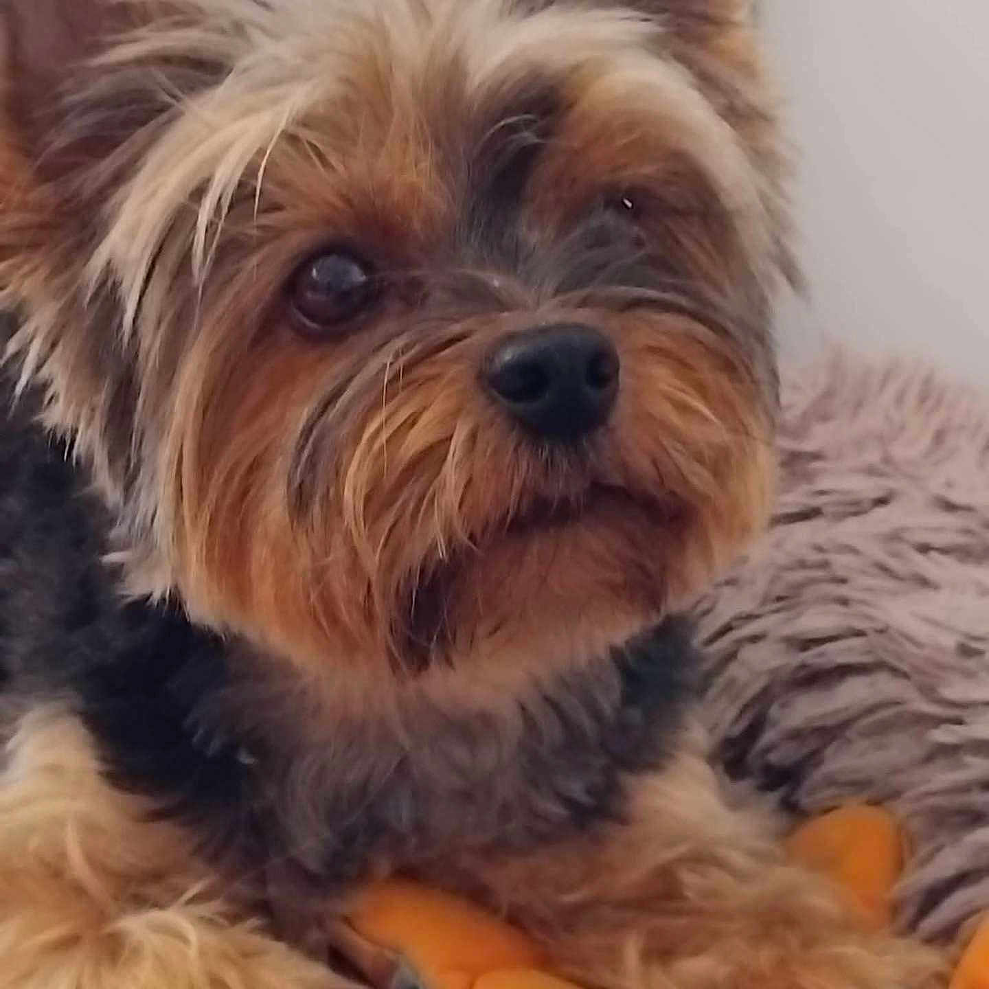 Olga
