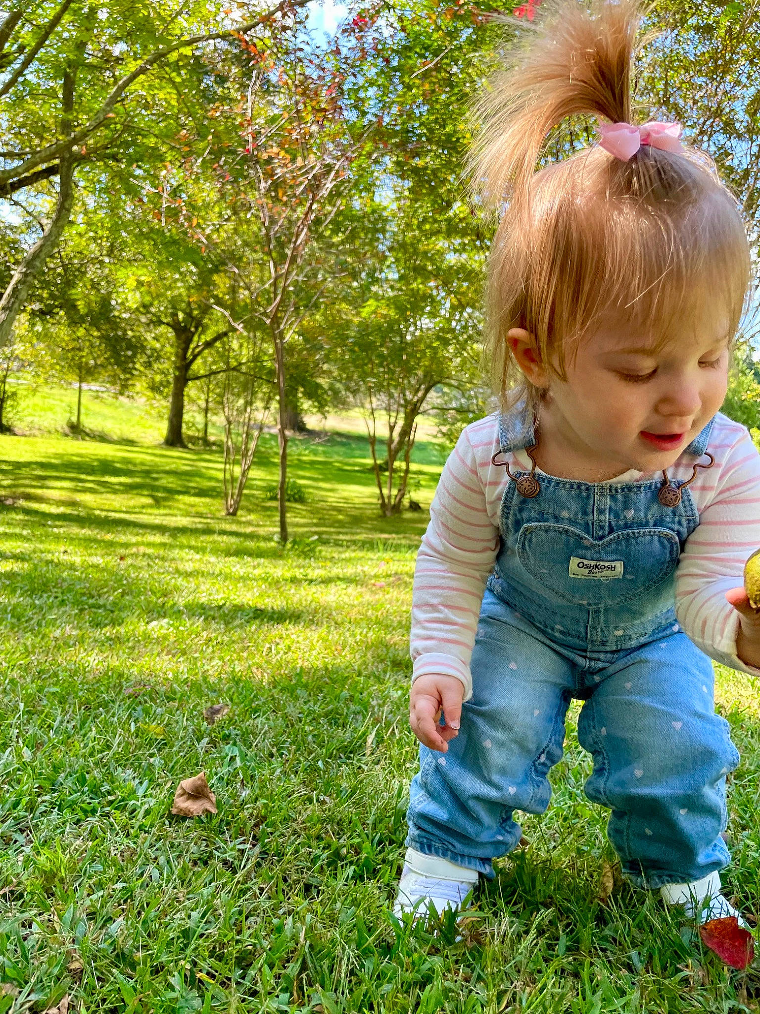 Irelynn is registered to the contest to win money with this photo: baby, baby_toddler_clothing, botany, child, electric_blue, fun, grass, grass_family, grassland, green, groundcover, happy, lawn, leisure, meadow, people_in_nature, person, plant, sunlight, toddler