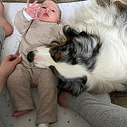 Gabrielle participe au concours pour gagner de l'argent avec cette photo : baby, dog, floor, hand, foot, clothing, mat, pet, lying_down, curious, cozy, indoor, animal, human, cute, snuggling, home, soft, friendship, relaxed