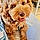 Benji