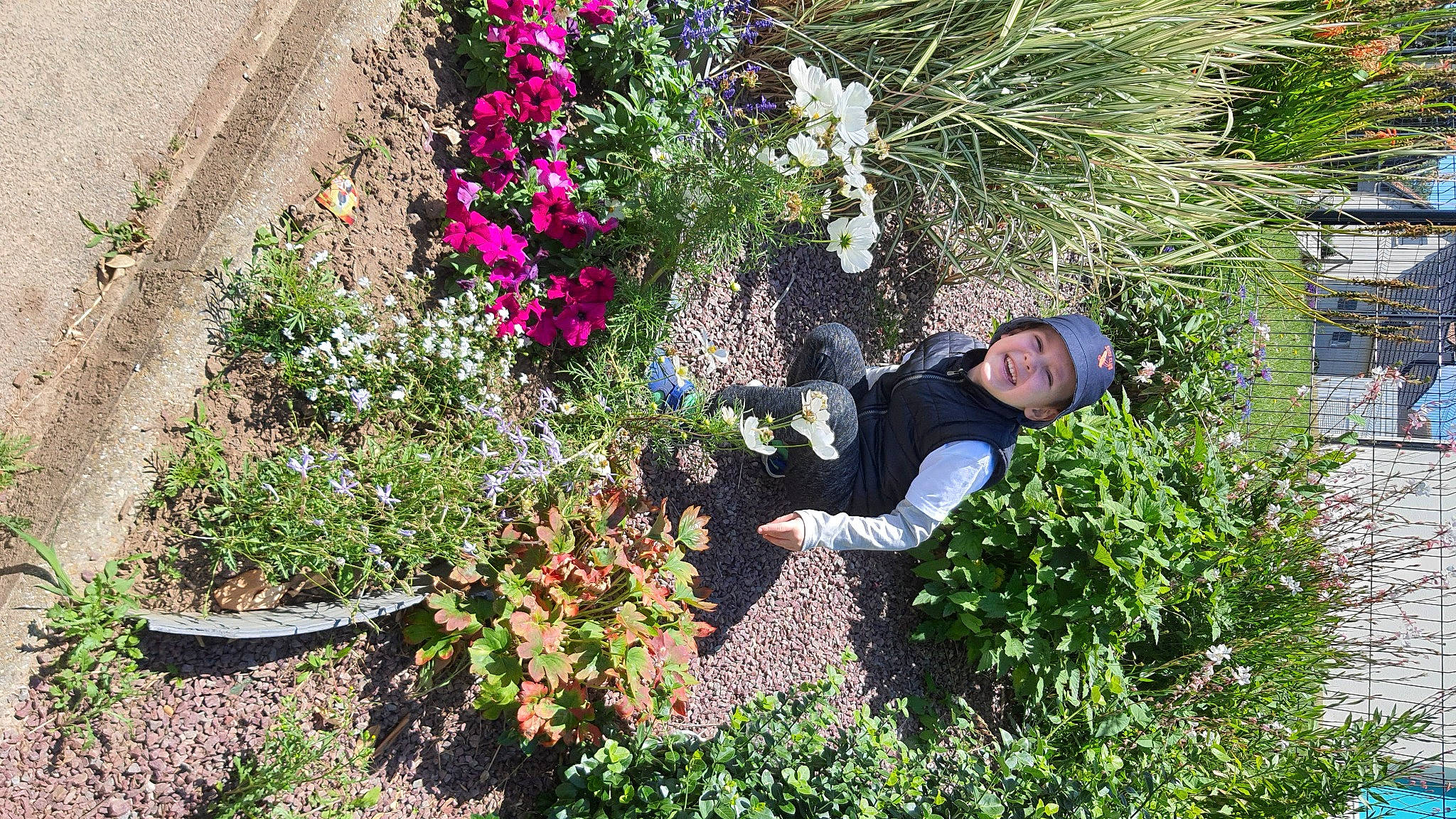 Zinho participe au concours pour gagner de l'argent avec cette photo : annual_plant, botany, flower, flowering_plant, garden, gardening, grass, groundcover, headwear, herb, joy, perennial_plant, person, plant, shrub, spring