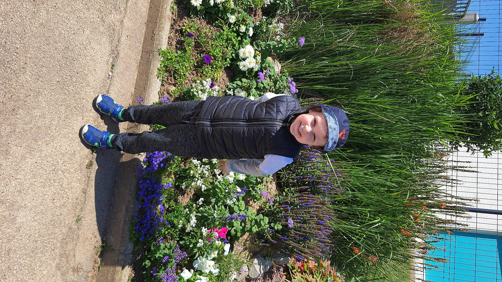 Zinho a rejoint le concours — aidez-le/la à gagner de superbes lots ! flower, headwear, joy, person, plant, shrub